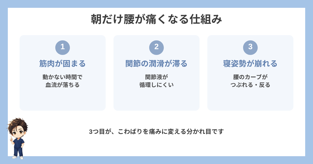 朝だけ腰が痛くなる仕組みの図解