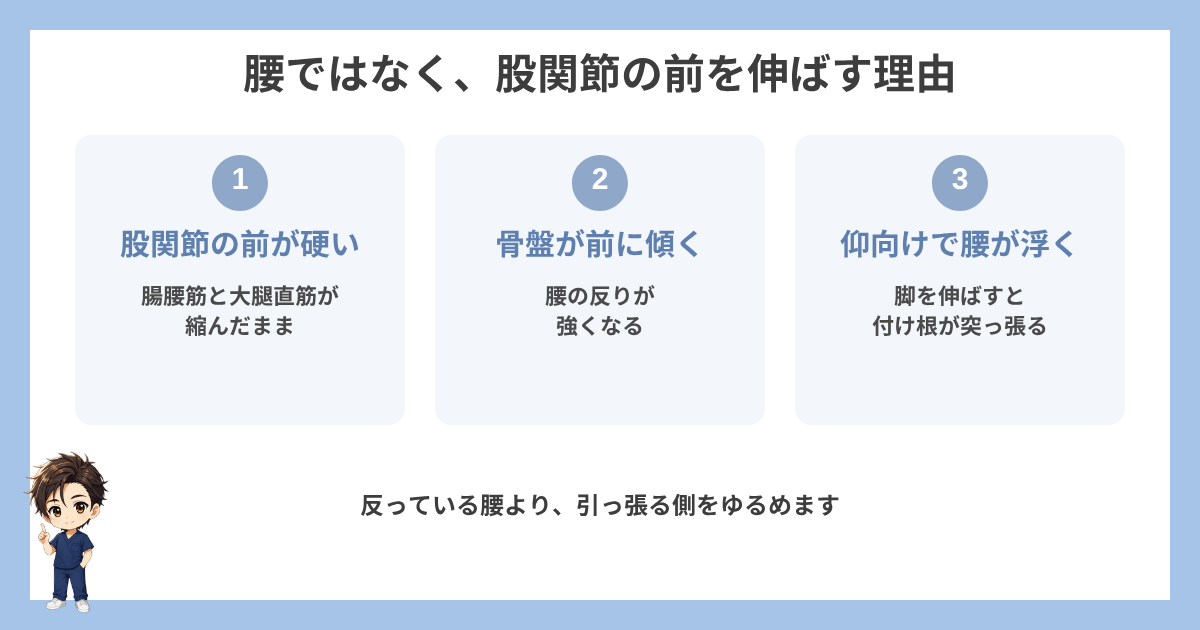 腰ではなく股関節の前を伸ばす理由の図解