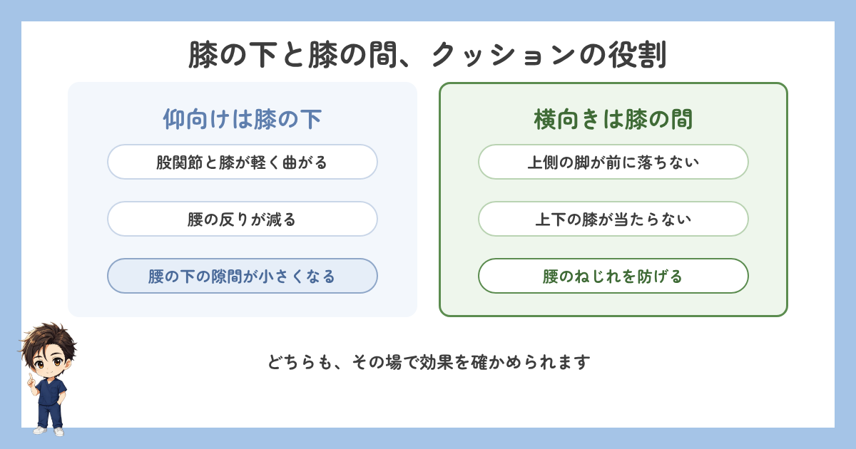 仰向けは膝の下、横向きは膝の間に入れるクッションの役割