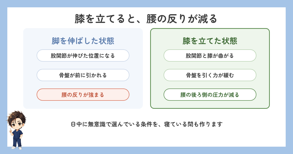 脚を伸ばした状態と膝を立てた状態の腰の反りの比較図