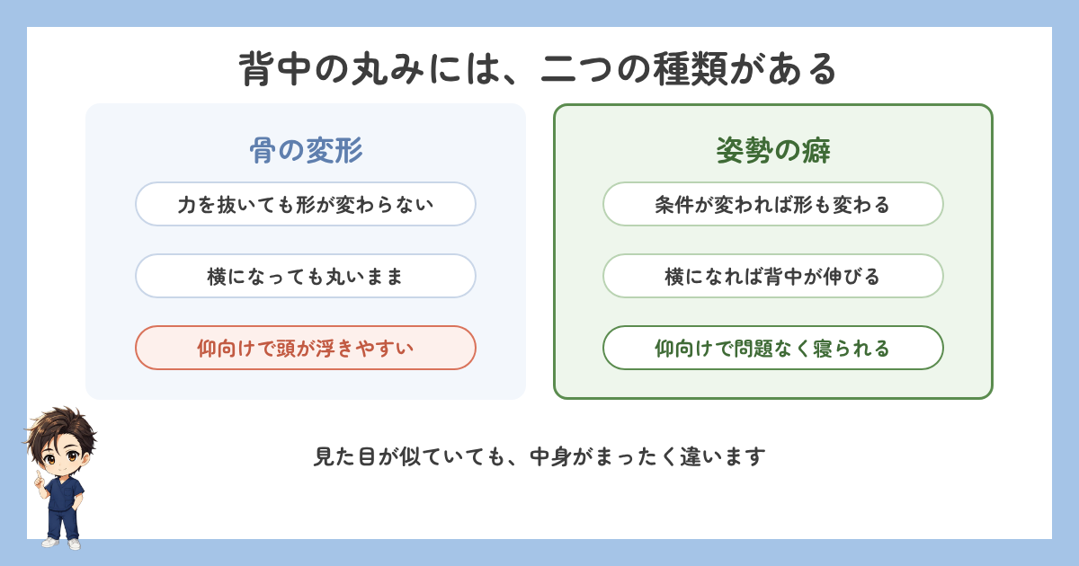 背中の丸みには骨の変形と姿勢の癖の二つの種類がある